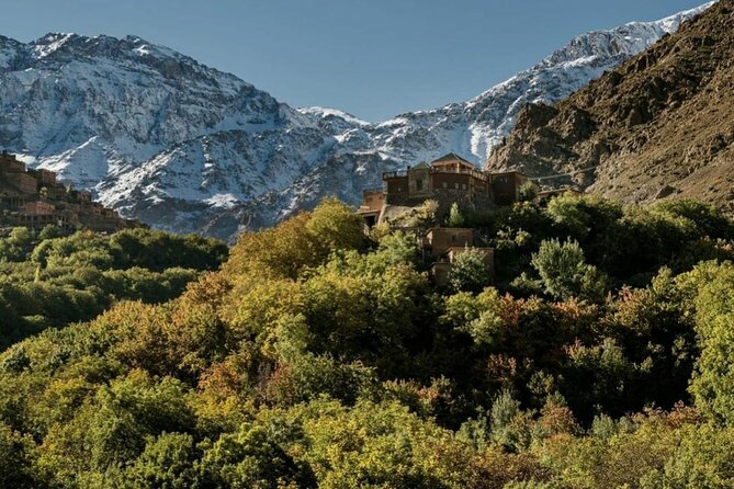 Marrakech: Day Trip to ourika valley & Atlas Mountains - Leaving Marrakech for the Atlas foothills