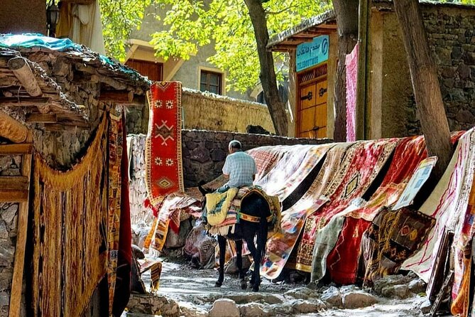Marrakech: Day Trip to ourika valley & Atlas Mountains - Why the $20.94 price can be good value