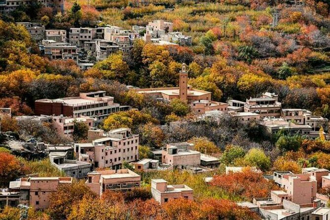 Marrakech: Day Trip to ourika valley & Atlas Mountains - Timing, fitness, and what to bring
