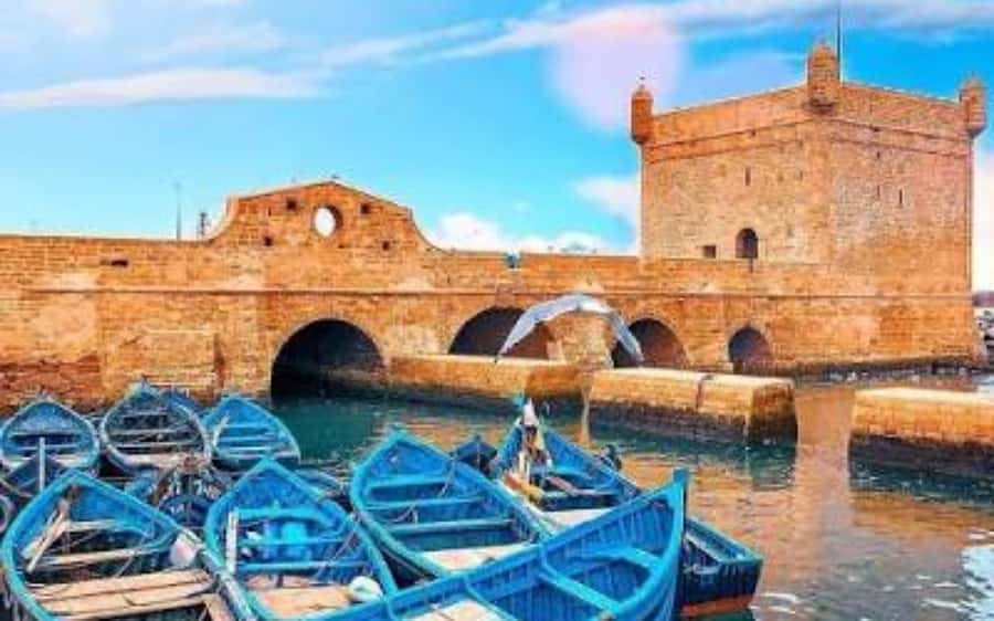 Marrakech: Day Trip to the Beautiful and Historic Essaouira - Who Should Book This Excursion?