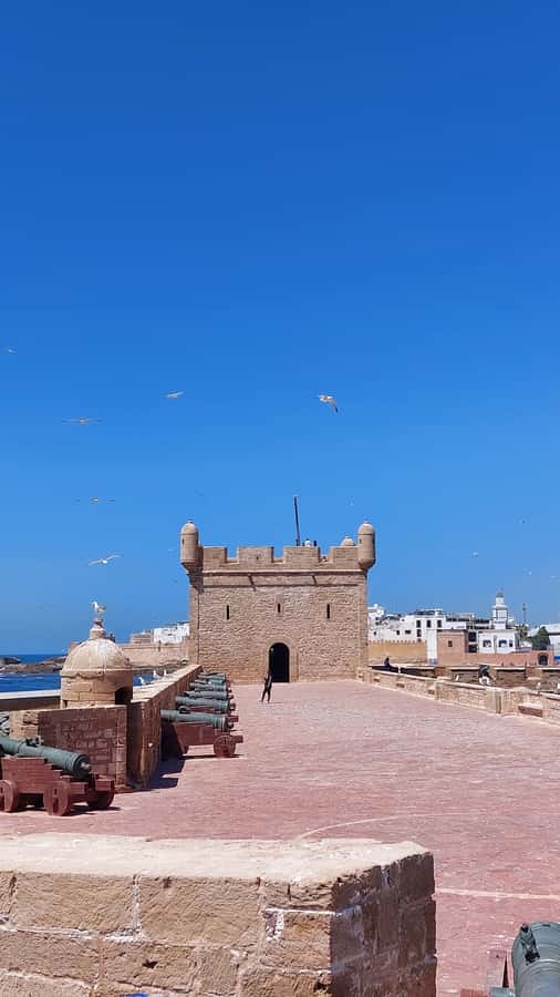Marrakech: Day Trip to the Beautiful and Historic Essaouira - The Skala de la Casbah and Atlantic Views