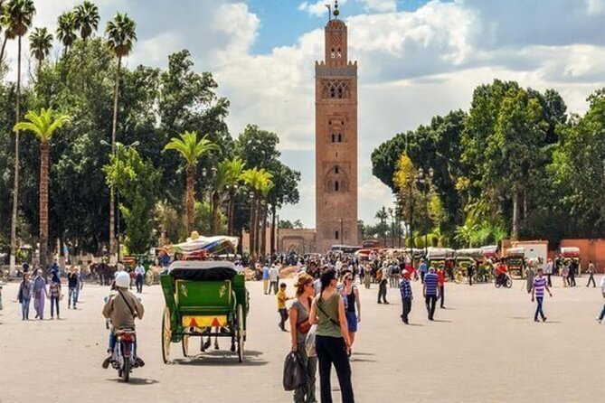 Marrakech Day Trip with Camel Ride from Casablanca - The road from Casablanca to Marrakech