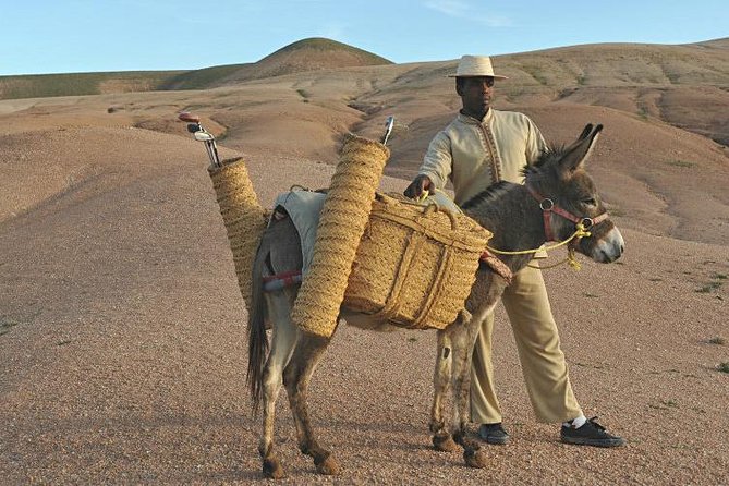 Marrakech: Desert Agafay & Atlas Mountains Day Trip & Camel Ride - Why Agafay works when the Sahara does not