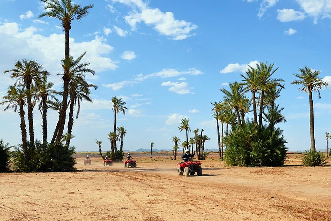 Marrakech Desert and Palm Grove Quad Bike Tour - Key points to know before booking