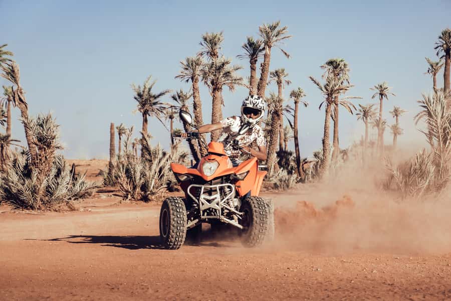Marrakech: Desert and Palm Grove Quad Tour with Tea - What this Marrakech quad tour is really like