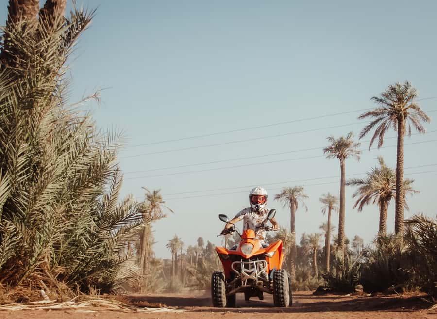 Marrakech: Desert and Palm Grove Quad Tour with Tea - The palm grove photo stop