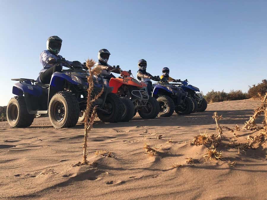 Marrakech: Desert and Palm Grove Sunset Quad Tour with Tea - Tea, bread, honey, and a local pause