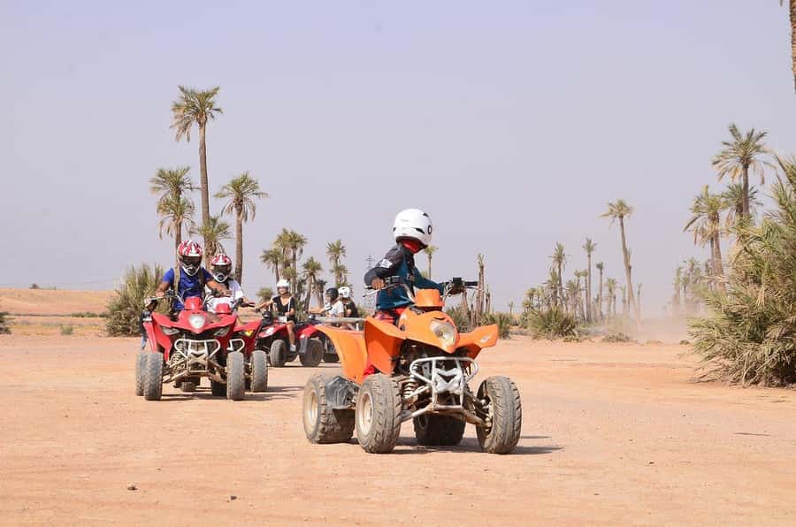 Marrakech: Desert and Palm Grove Sunset Quad Tour with Tea - Who should book this ride?