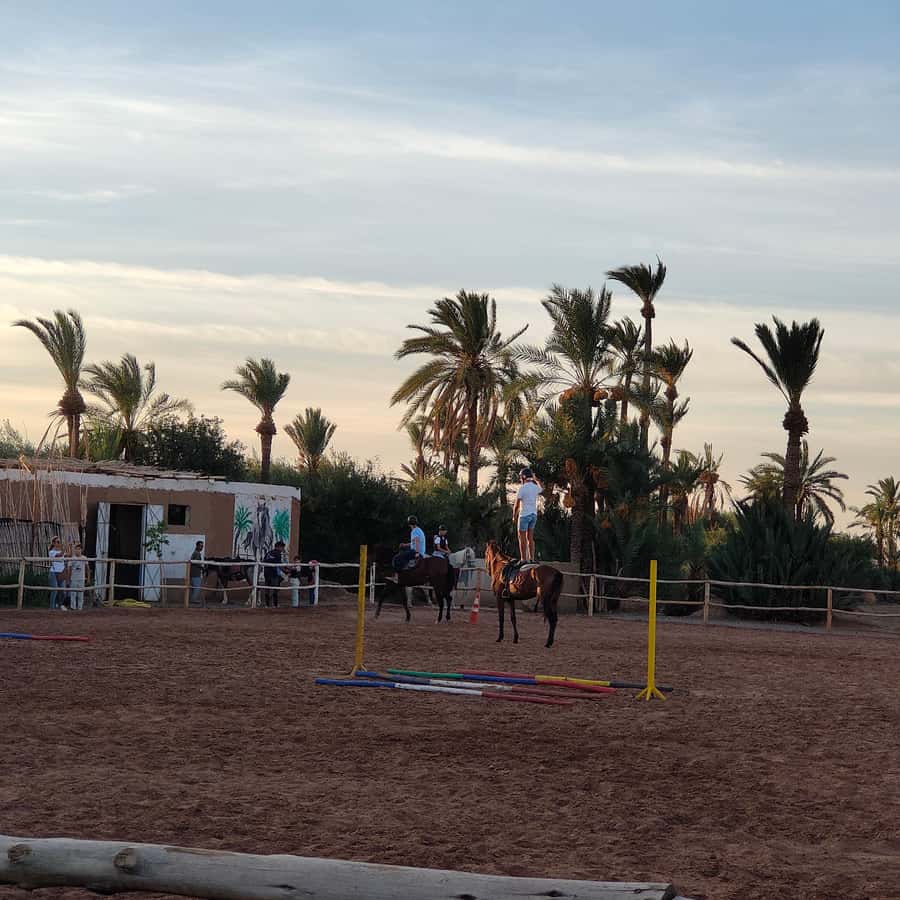 Marrakech: Desert and Palmeraie Horse Riding Tour & Transfer - Who should book this ride?