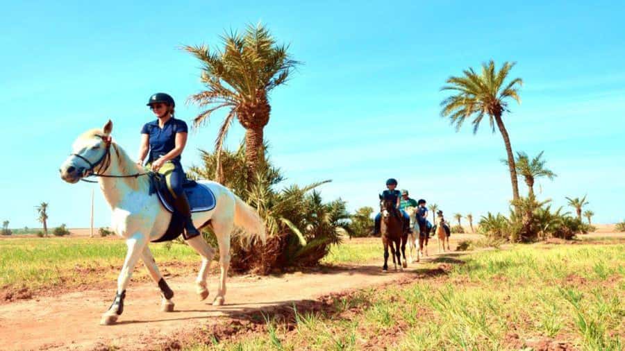 Marrakech: Desert and Palmeraie Horse Riding Tour & Transfer - Meeting the horses and getting ready