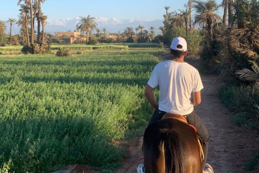Marrakech: Desert and Palmeraie Horse Riding Tour & Transfer - Walk, trot, canter, or gallop