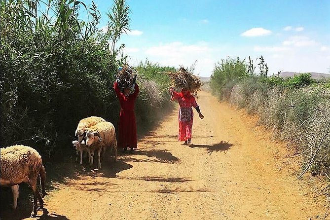 Marrakech Desert Buggy Tour Including Berber Tea Break and transfer - Tea, pancakes, and a Berber family visit
