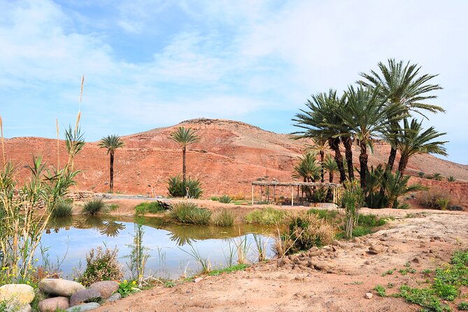 Marrakech Desert Buggy Tour Including Berber Tea Break and transfer - Guides, pace, and the feel of the ride