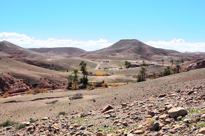 Marrakech Desert Buggy Tour Including Berber Tea Break and transfer - Morning or afternoon departure?