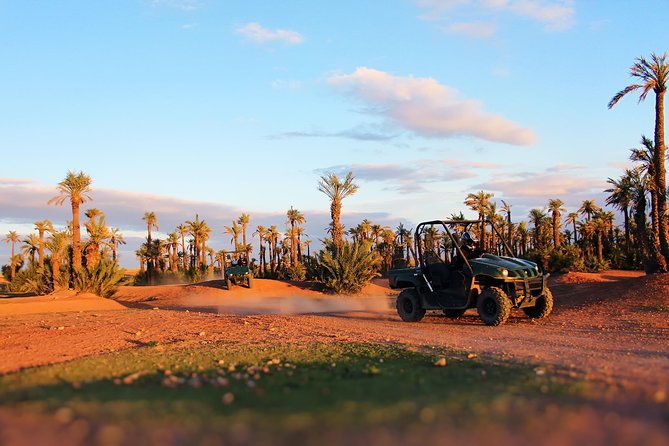 Marrakech Desert Buggy Tour Including Berber Tea Break and transfer - Two hours across rocky trails and palm groves