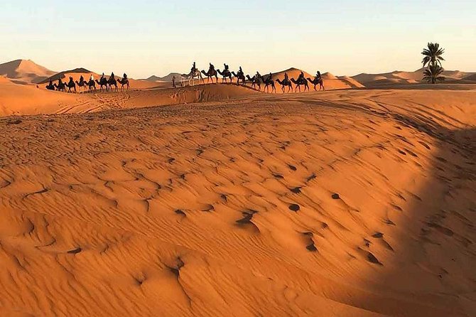 Marrakech Desert: Camel Ride, Quad Biking & Dinner Show Options - Berber music and the fire show