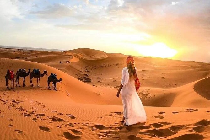 Marrakech Desert: Camel Ride, Quad Biking & Dinner Show Options - Is $52.14 good value?
