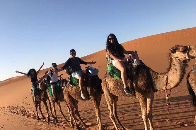 Marrakech Desert: Camel Ride, Quad Biking & Dinner Show Options - The important itinerary confusion