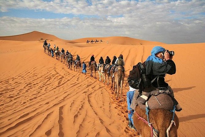 Marrakech Desert: Camel Ride, Quad Biking & Dinner Show Options - Camel riding, quad biking, or both
