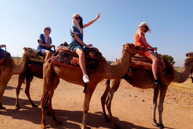 Marrakech Desert: Dinner Show with Quad Bike and Camel Ride - The camel ride at sunset