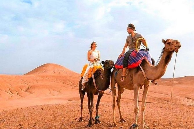 Marrakech Desert Quad and Camel ride, Lunch, and Poolside - The argan cooperative stop