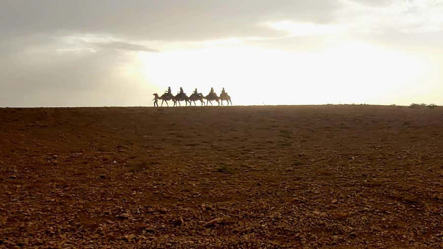 Marrakech: Desert Quad Bike Tour with Tea & Optional Dinner - Mint tea at a desert camp