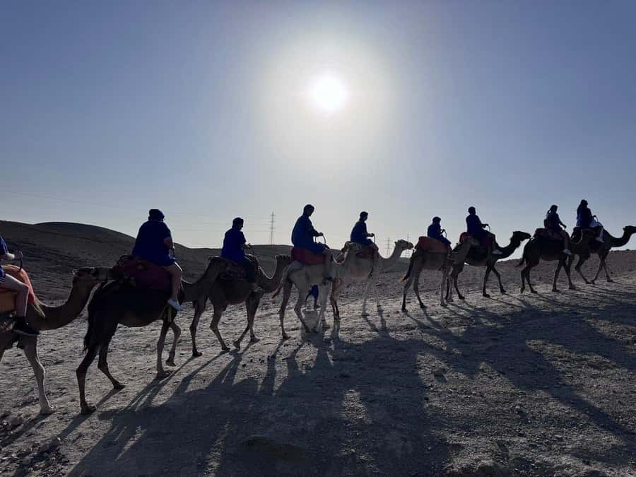 Marrakech: Desert Quad Bike Tour with Tea & Optional Dinner - How much value do you get for $45?