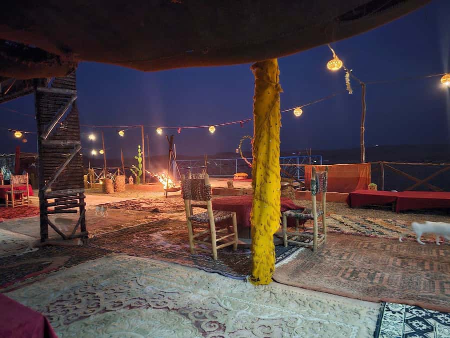 Marrakech: Desert Quad Bike Tour with Tea & Optional Dinner - Who will enjoy this outing most?