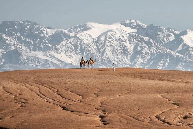 Marrakech Desert Tour & Sunset Camel Ride with Dinner Show - What the camel ride is really like