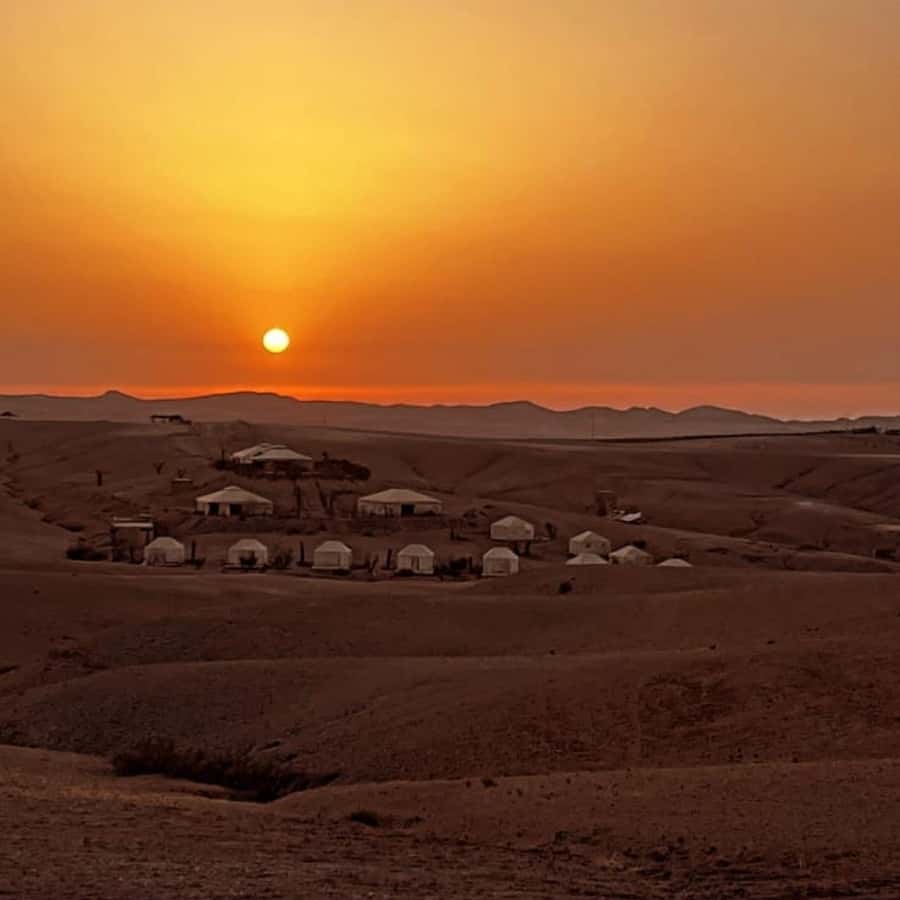 Marrakech: Desert Tour with Dinner, Show and Camel Ride - Key points to know before you book