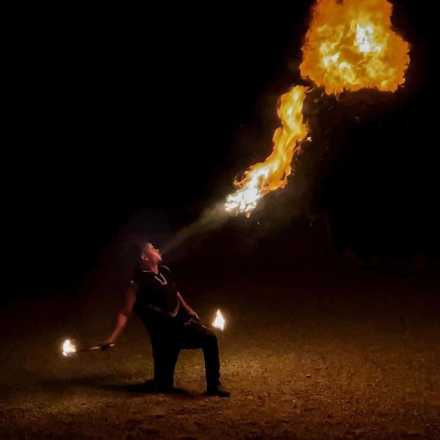 Marrakech: Desert Tour with Dinner, Show and Camel Ride - Who should book this Marrakech evening?
