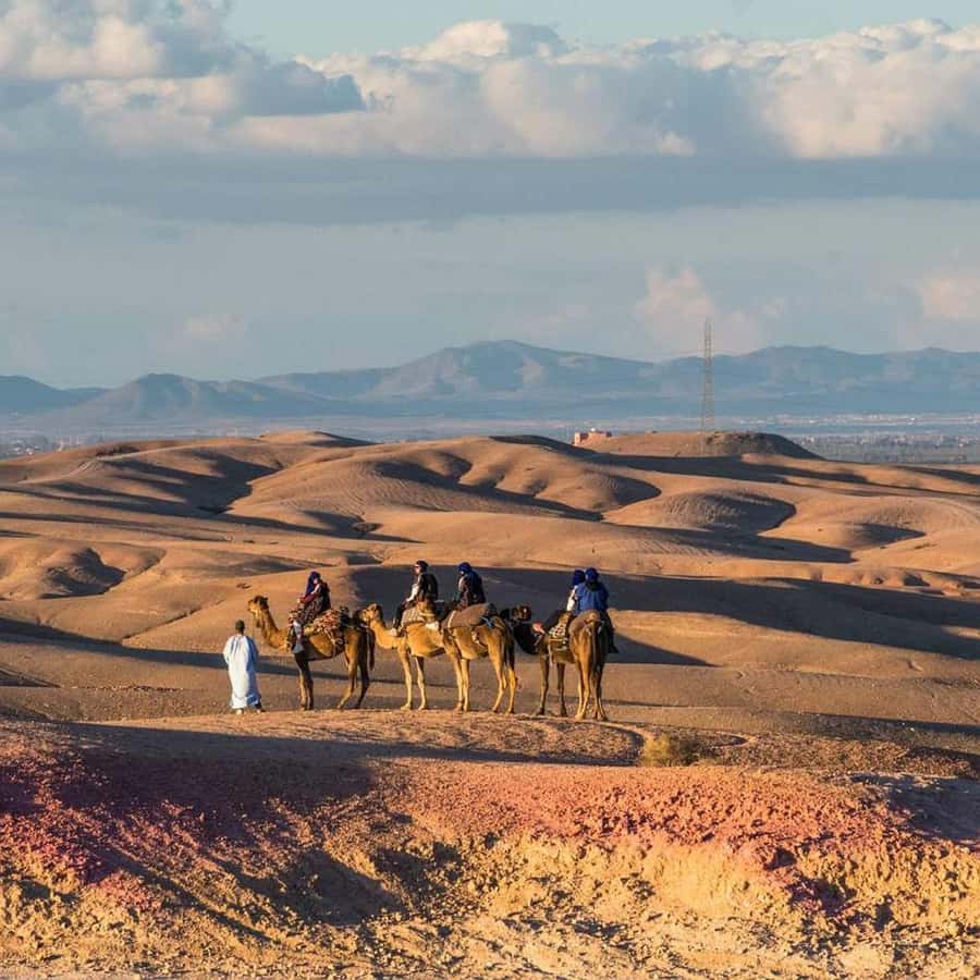 Marrakech: Desert Tour with Dinner, Show and Camel Ride - Camel riding across Agafay’s rocky dunes