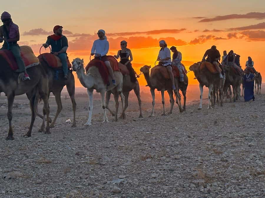 Marrakech: Desert Tour with Dinner, Show and Camel Ride - Optional tea at Takerkoust Dam