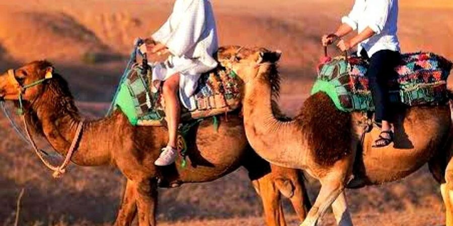 Marrakech: Dinner and Quad bike Desert Agafay Stars & show - Who should book this Agafay evening?