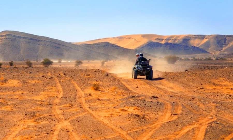Marrakech: Dinner and Quad bike Desert Agafay Stars & show - Quad biking across Agafay