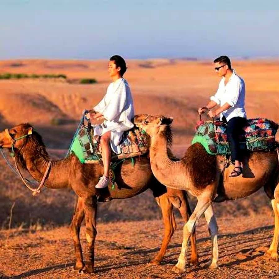 Marrakech: Dinner and Quad bike Desert Agafay Stars & show - Price, comfort, and the real value