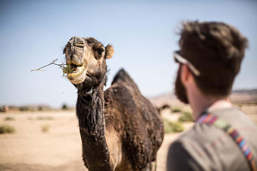 Marrakech: Dinner in Agafay Desert, Fire show & Camel Ride - Leaving Marrakech for the Agafay Desert