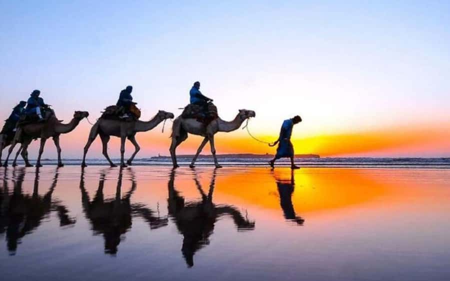 Marrakech Dinner Show Agafay Desert with Camels swiming pool - The camel ride at golden hour