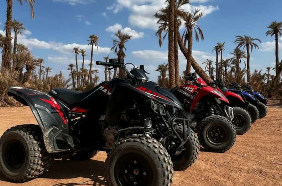 Marrakech: Dunes of the Palmeraie Quad Bike Ride with Tea - The photo stop among the palms