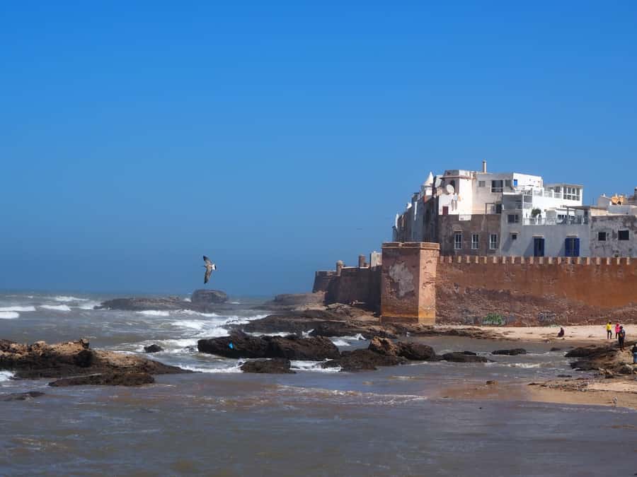 Marrakech: Essaouira Day Trip with Transfers and Co-op Visit - Breaking up the three-hour drive