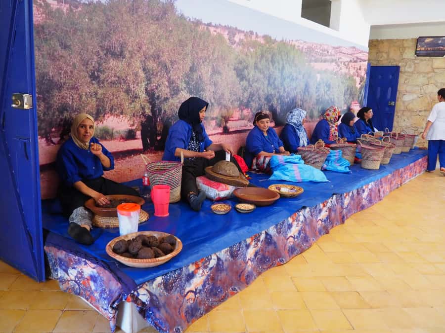 Marrakech: Essaouira Day Trip with Transfers and Co-op Visit - Choosing between the Medina, fish market, and beach