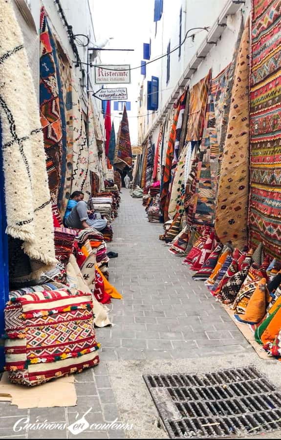 Marrakech: Essaouira Day Trip with Transfers and Co-op Visit - The guides and the feel of the day