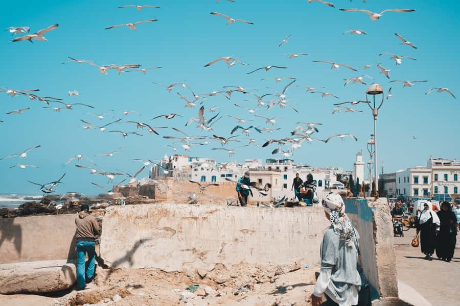 Marrakech: Essaouira Full-Day Trip - First impressions inside the old medina