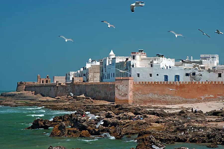 Marrakech: Essaouira Full-Day Trip - What the $20 price really covers