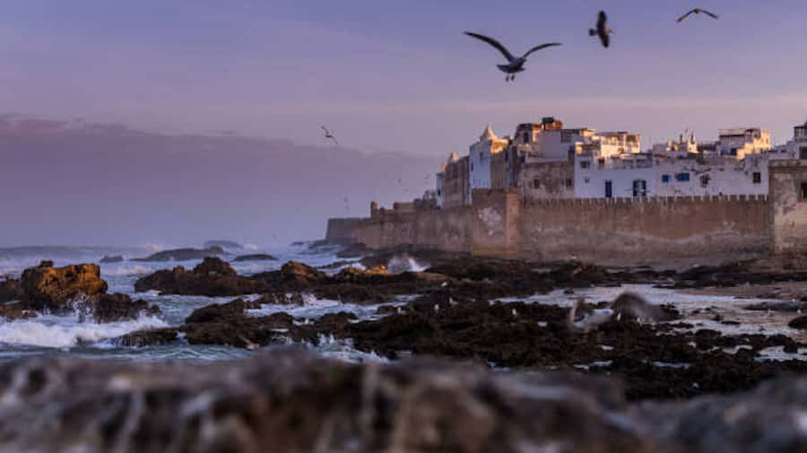 Marrakech: Essaouira Full-Day Trip - The 8:00 departure and the road west