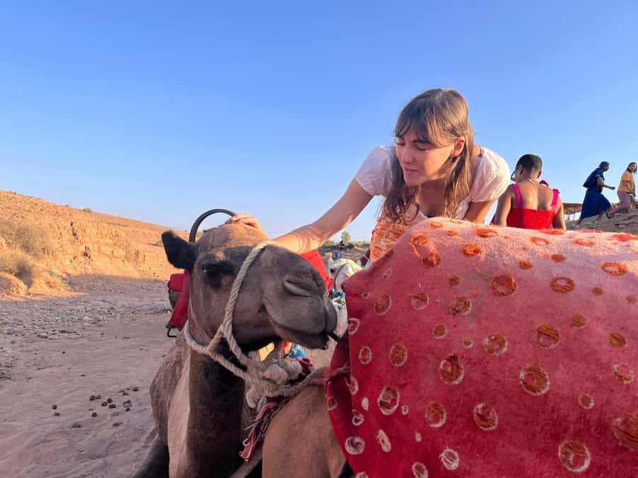 Marrakech: Evening Escape to the Agafay Desert - Key points at a glance