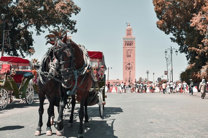 Marrakech Excursion Mini Group Camel Ride from Casablanca - Dar El Bacha adds another palace perspective