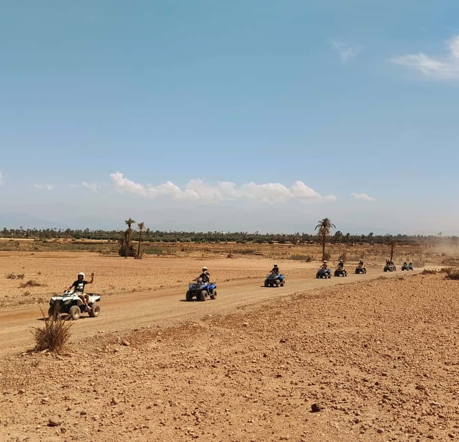Marrakech:excursion quad in Oasis palm & jbilat desert,tea - Key points to know before booking