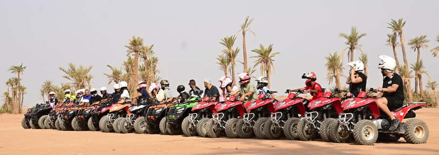 Marrakech:excursion quad in Oasis palm & jbilat desert,tea - Riding through palm groves and desert tracks