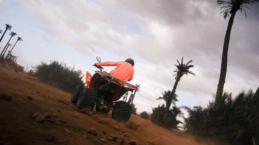 Marrakech:excursion quad in Oasis palm & jbilat desert,tea - Photo stops, sunsets, and wide views
